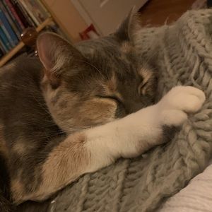 Meet your Posher, Nina